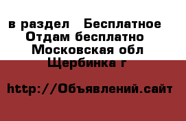  в раздел : Бесплатное » Отдам бесплатно . Московская обл.,Щербинка г.